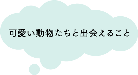 可愛い動物たちと出会えること